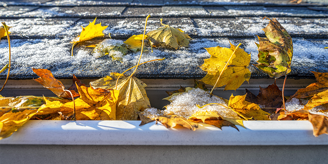 Autumn leaves in gutter